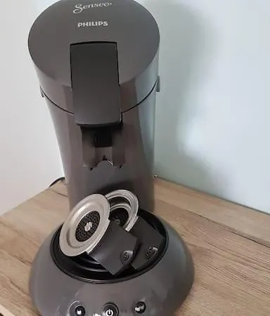 شقة 